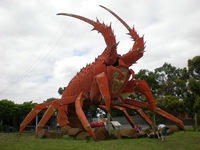 The Big Lobster