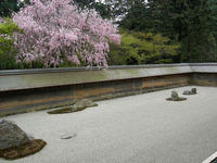 Famous Zen Garden at Ryoanji Temple