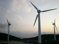 Windfarm