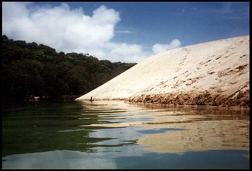 inlakebig.jpg (28573 bytes)