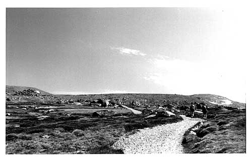alongtrackbig.JPG (27311 bytes)