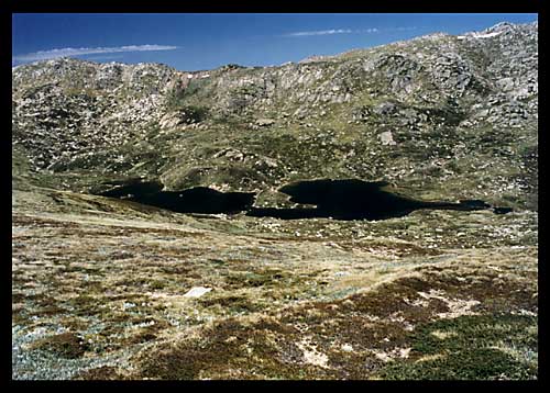 lakealpinabig.JPG (58018 bytes)