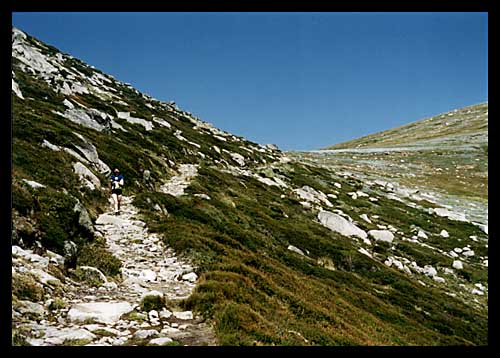 patkaontrack2big.JPG (47292 bytes)