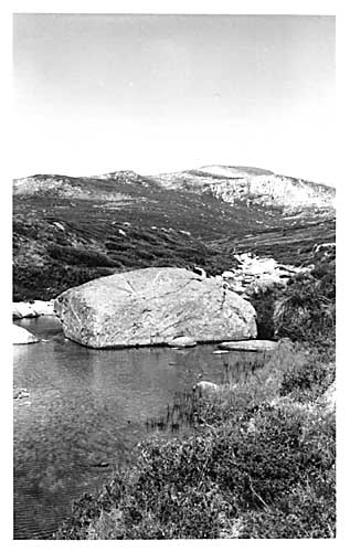 rockincreekbig.JPG (35050 bytes)