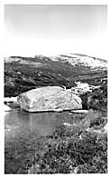 Rock in creek