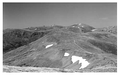 snowtrailbig.jpg (21693 bytes)