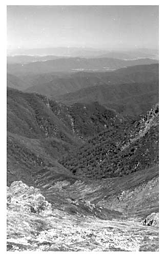 valleybig.jpg (28200 bytes)