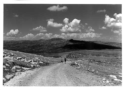 walkbig.JPG (29550 bytes)