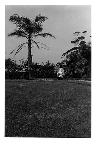 golfbig.JPG (29838 bytes)