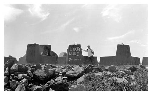 luckylukebig.jpg (28139 bytes)