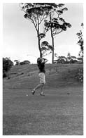 Megan Swings