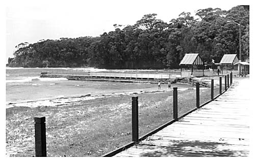 pathbybeachbig.jpg (39842 bytes)