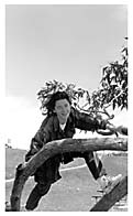patkaontreesmall.jpg (10565 bytes)