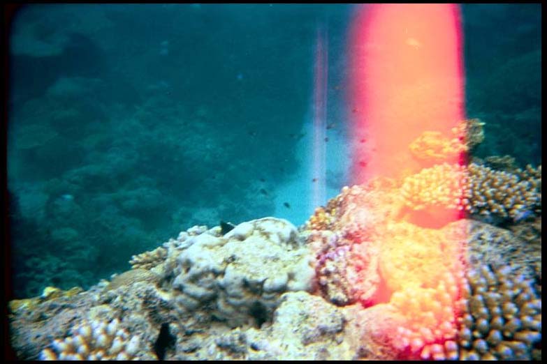 cairns_00_b_img001