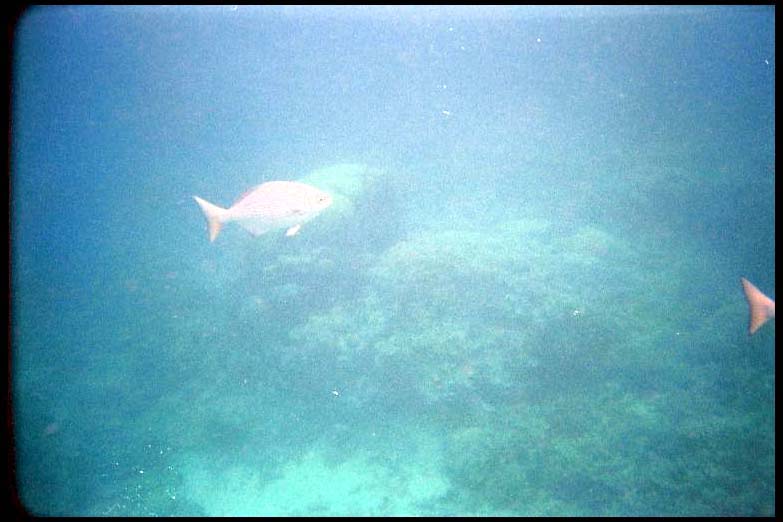 cairns_00_b_img002