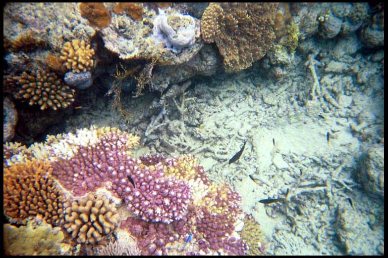 cairns_00_b_img004