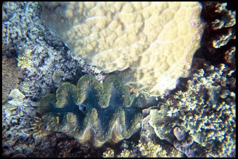 cairns_00_b_img005