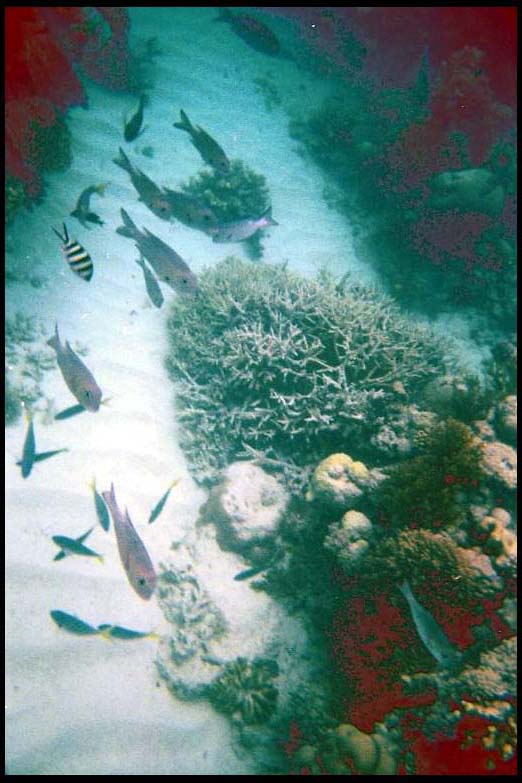 cairns_00_b_img007