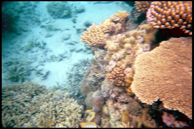cairns_00_b_img008