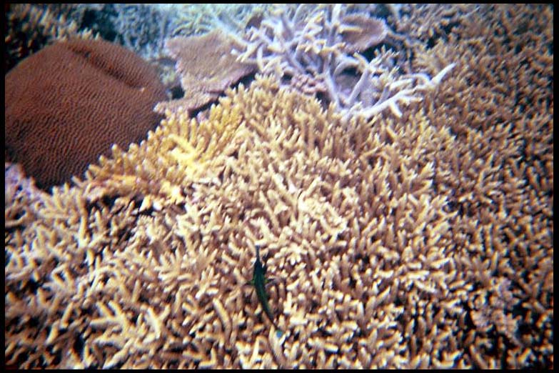 cairns_00_b_img009