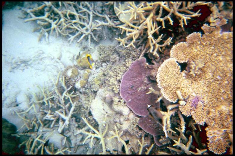 cairns_00_b_img012