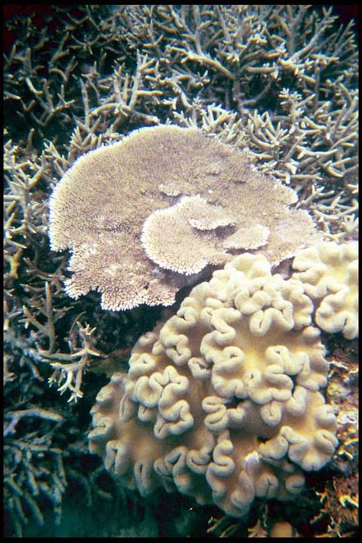 cairns_00_b_img014