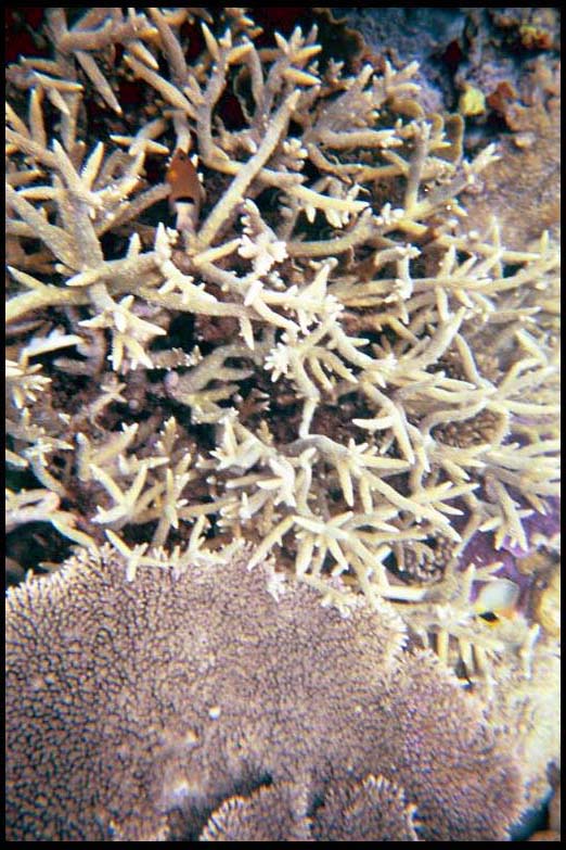 cairns_00_b_img015