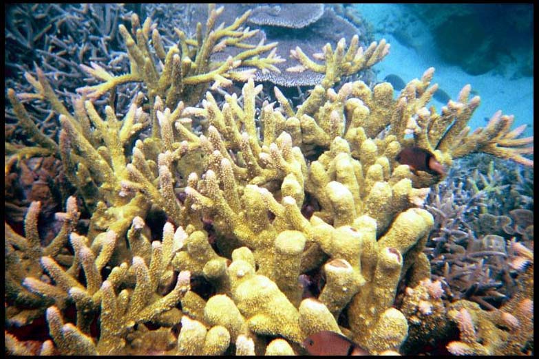 cairns_00_b_img016