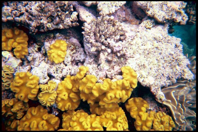 cairns_00_b_img017