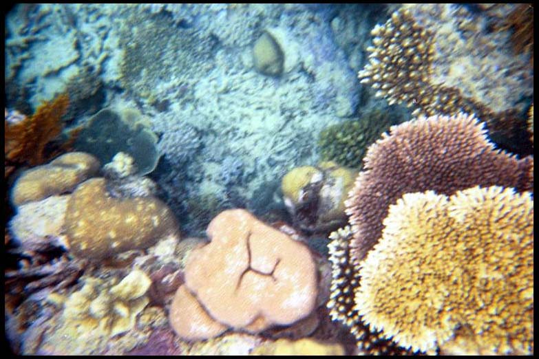 cairns_00_b_img018