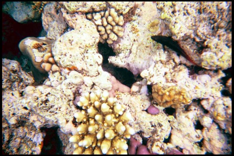 cairns_00_b_img019