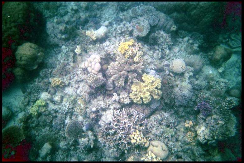 cairns_00_b_img022