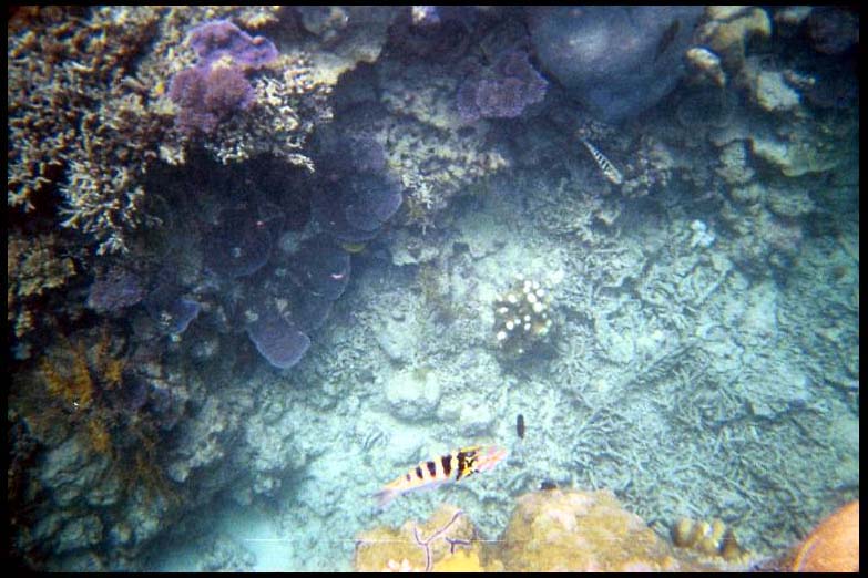 cairns_00_b_img023