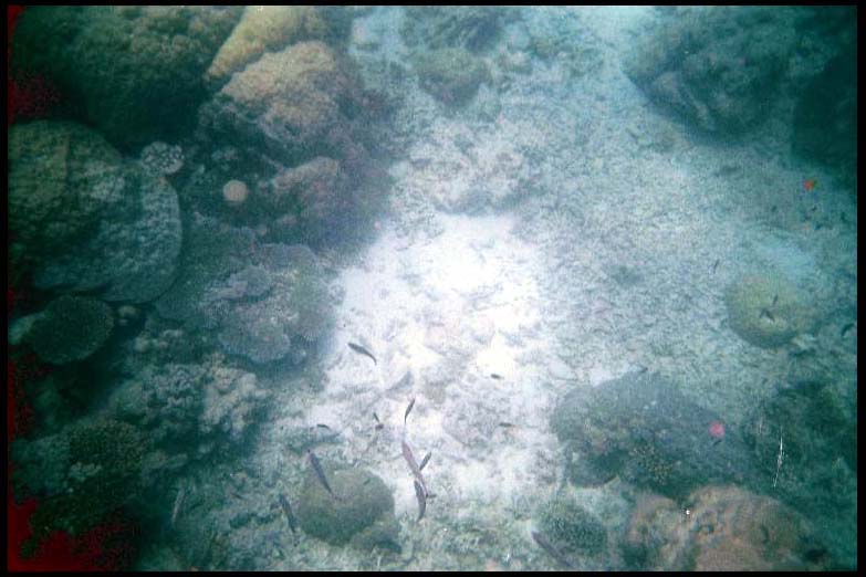 cairns_00_b_img026