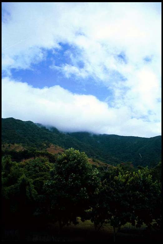 cairns_00_b_img031