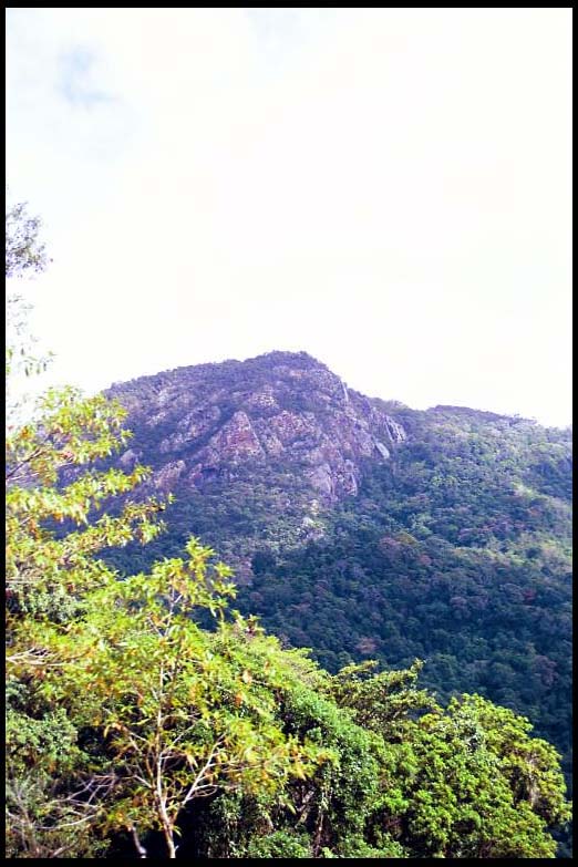 cairns_00_b_img035