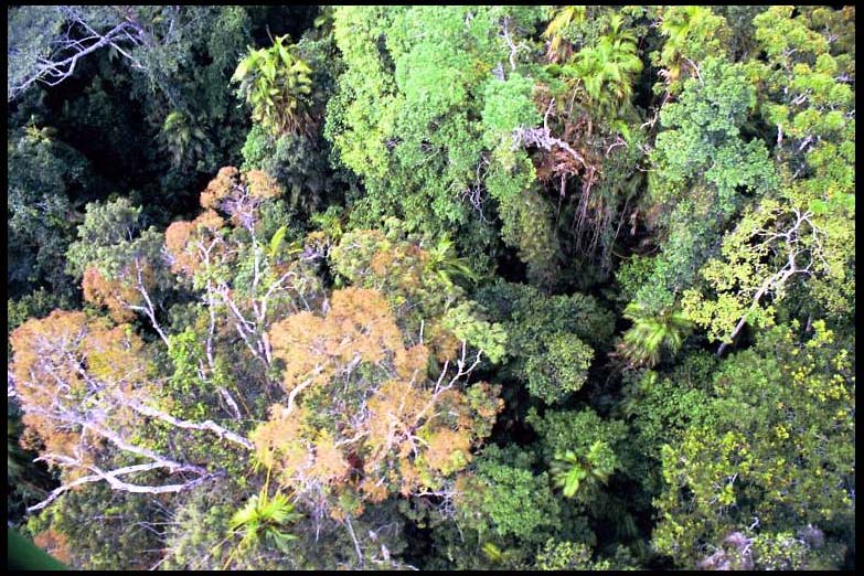 cairns_00_b_img049