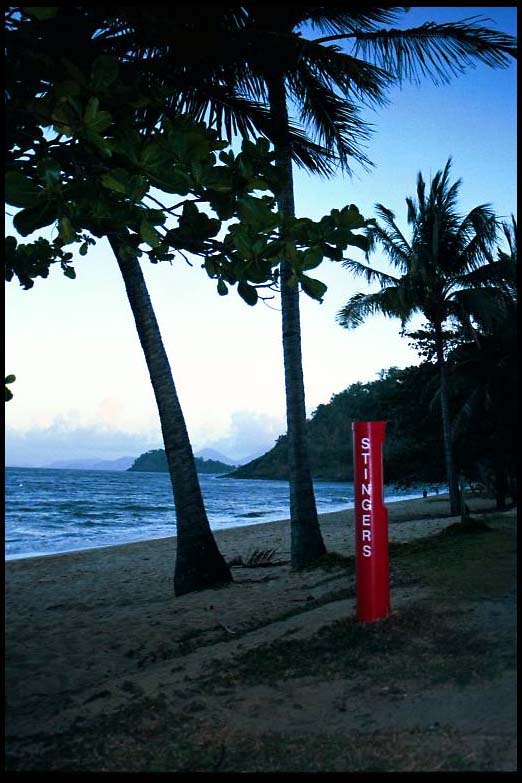 cairns_00_b_img059