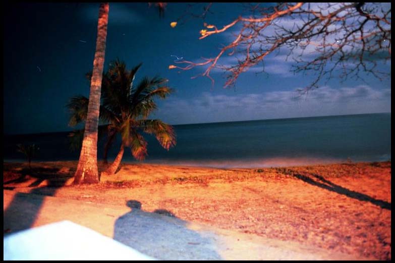 cairns_00_b_img060