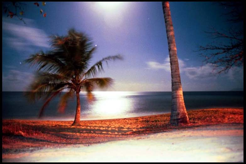 cairns_00_b_img061