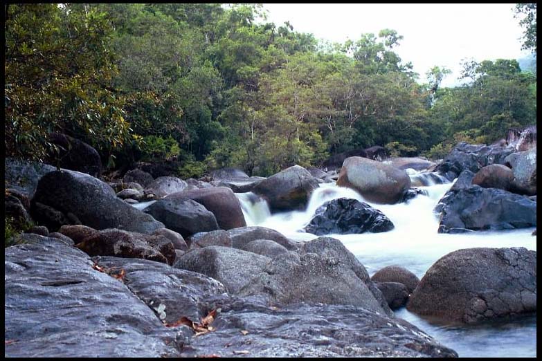 cairns_00_b_img077