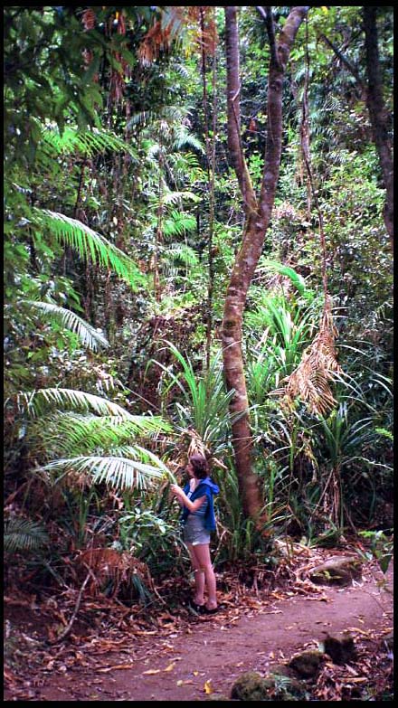 cairns_00_img004