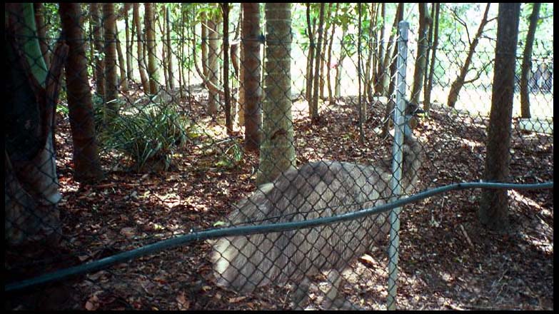 cairns_00_img014