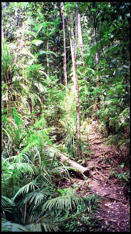 cairns_00_img026