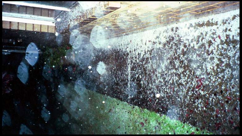 cairns_00_img059