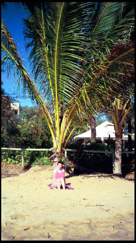 cairns_00_img078