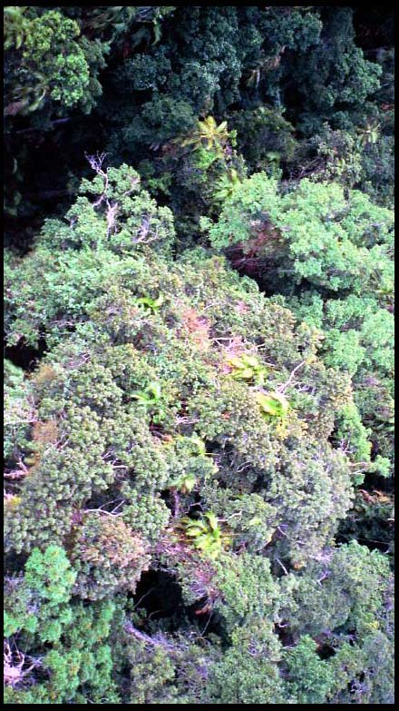 cairns_00_img088