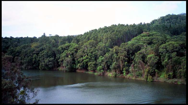 cairns_00_img090