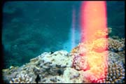 cairns_00_b_img001