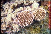 cairns_00_b_img003